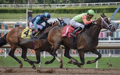 online horse betting in india|Indian Horse Racing Websites » Guide to Horse .